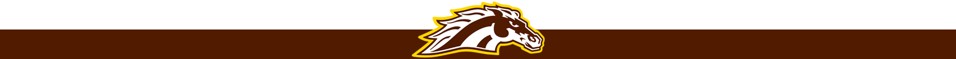 Western Michigan - Volleyball